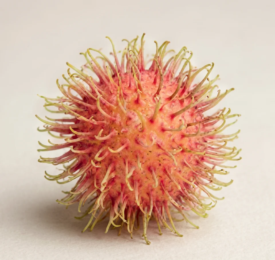 Passion fruit on a surface